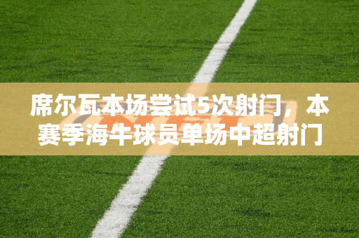 席尔瓦本场尝试5次射门，本赛季海牛球员单场中超射门次数最多